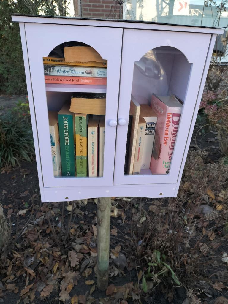 Boeken in Minibibliotheek