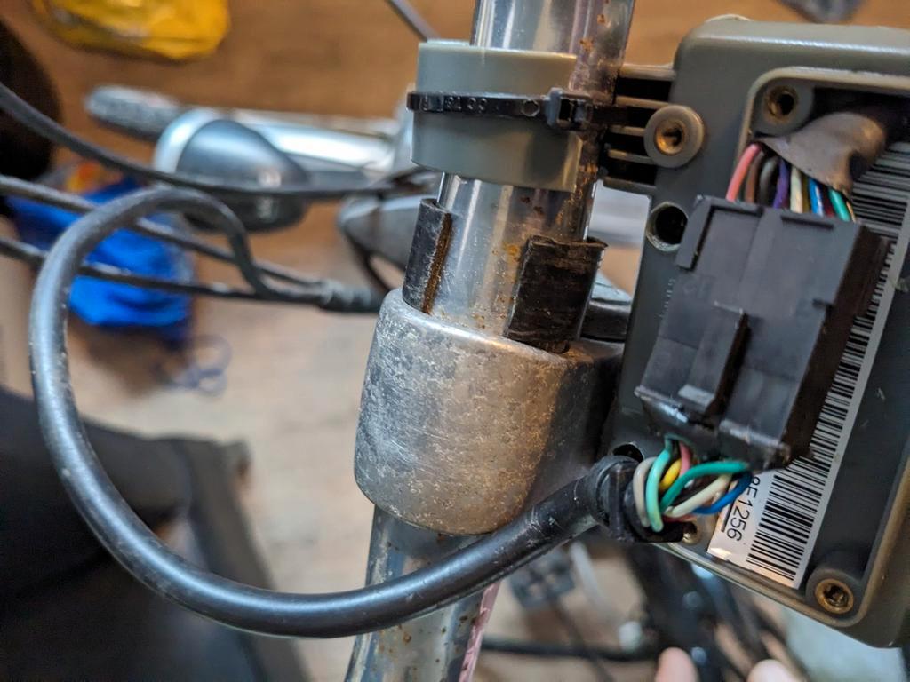 GEZOCHT ZOON DISPLAY