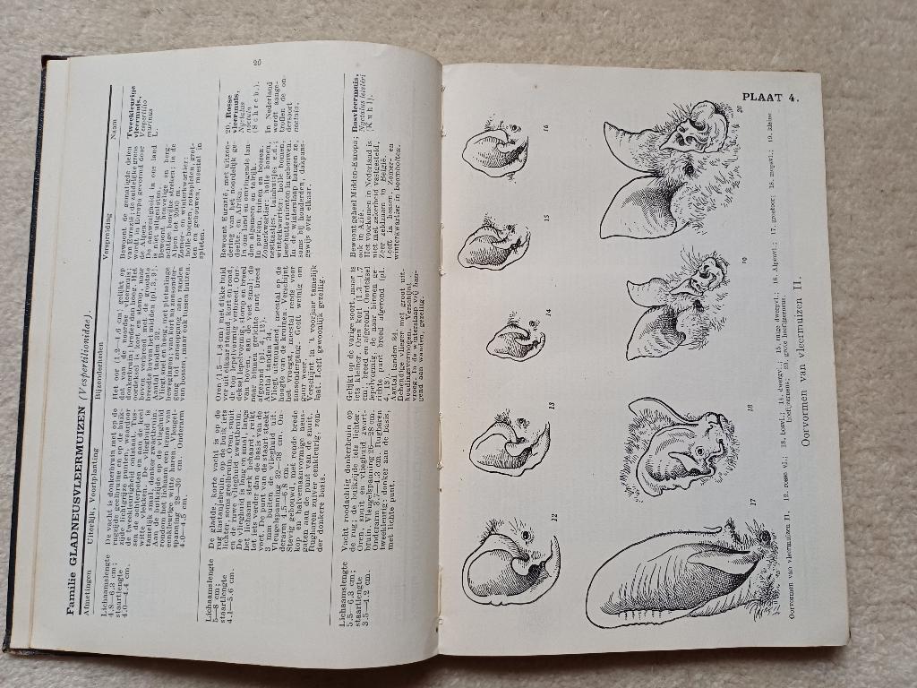 Wat is dat voor een dier? M A. Ijsseling en A. Scheygrond