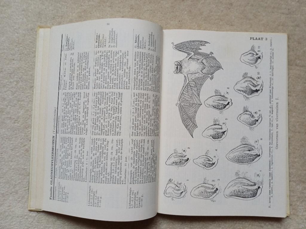 Wat is dat voor een dier? M.A. Ijsselingh en A. Scheygrond