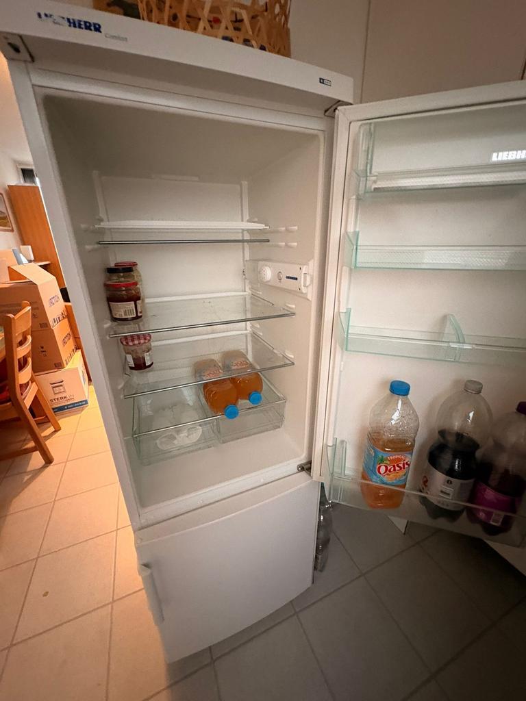 Koelkast met vriesvak - Liebherr Comfort