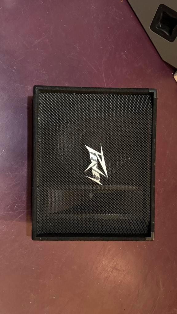 Peavey PV-12M Passieve Vloermonitor