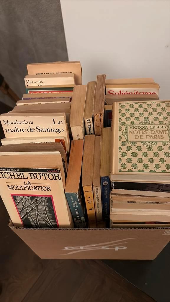70 franstalige boeken