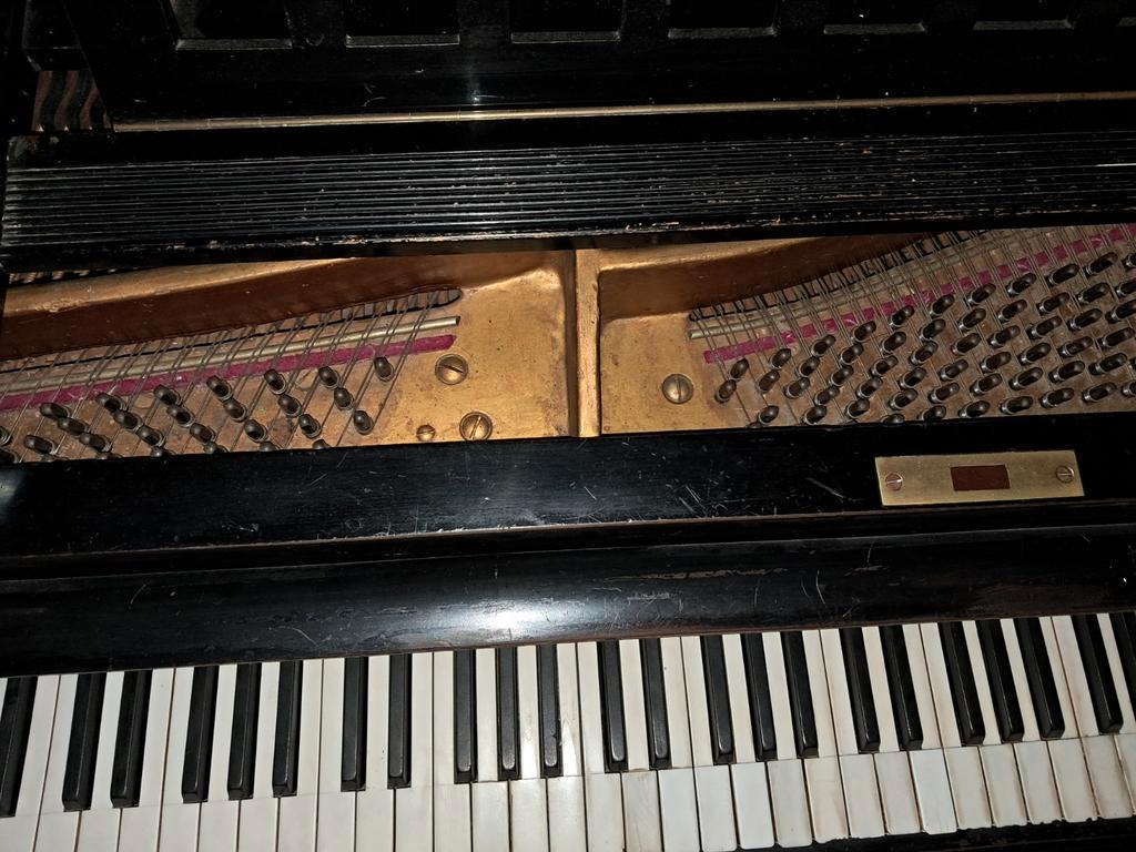 Vleugel - Moet Snel Weg!