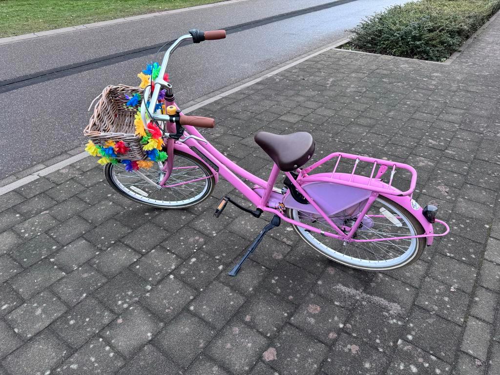 Meisjesfiets opknapper met mandje