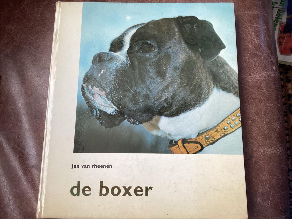 De Boxer Jan van Rheenen.