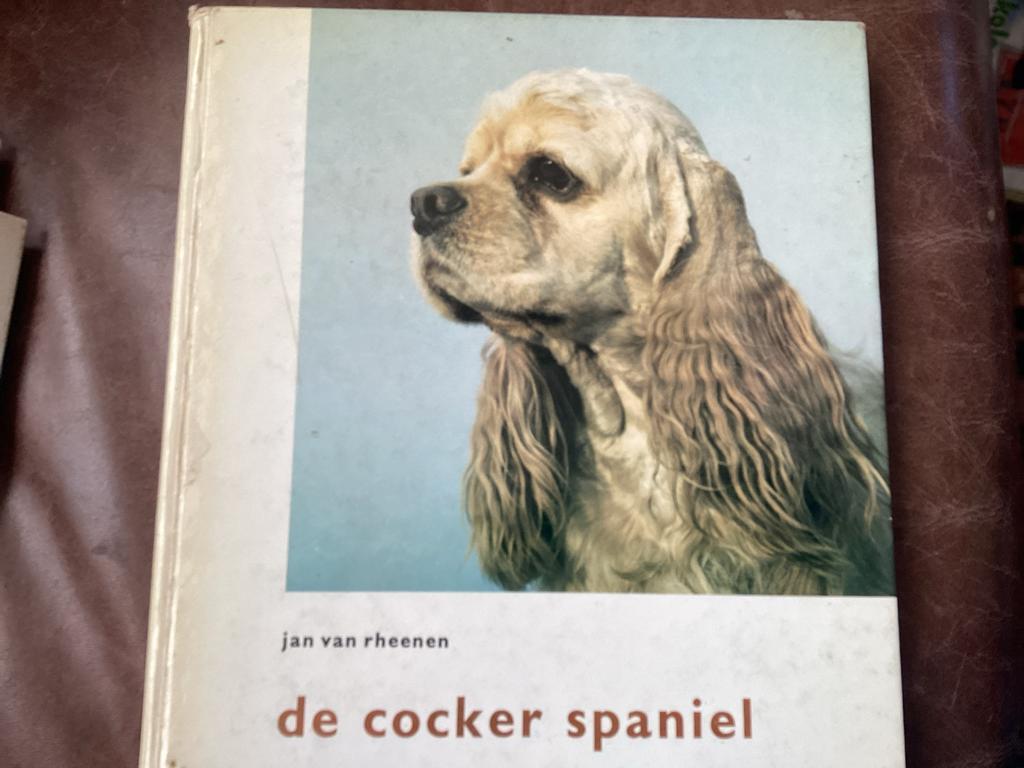 De Cocker Spaniel - Jan van Rheenen