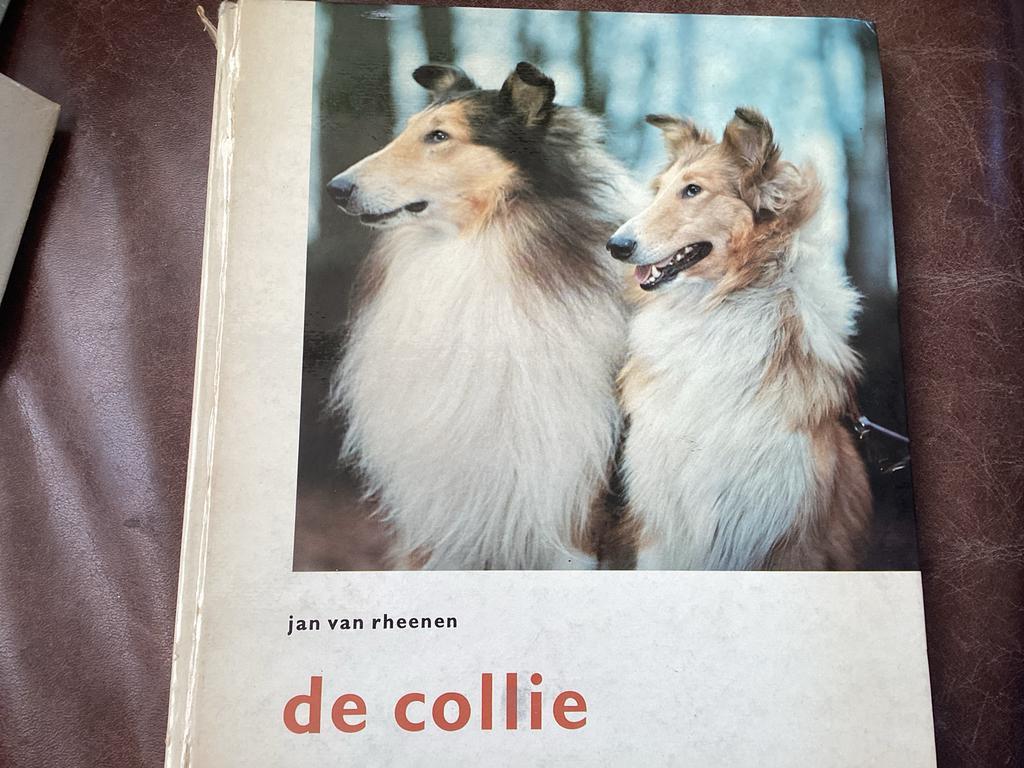De Collie - Jan van Rheenen