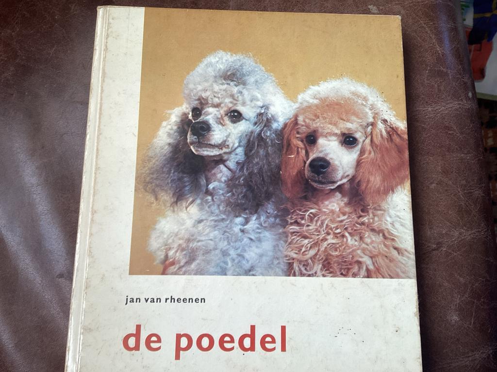 De Poedel - Jan van Rheenen