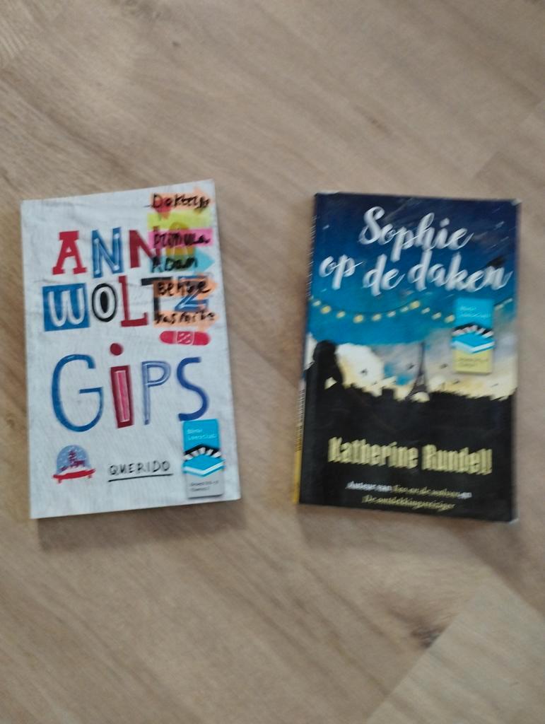 Boekenpakket Ann Woltz Gips & Sophie op de daken