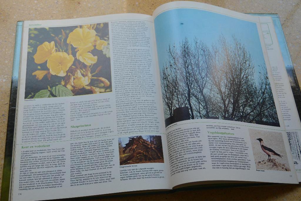 De 12 maanden van het jaar Bijdragen auteurs en kunstenaars