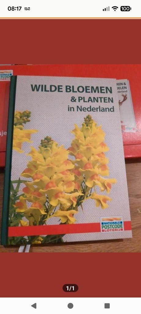 Wilde Bloemen & Planten in Nederland - Natuurboek