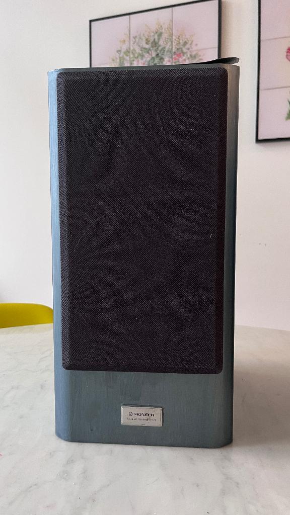 Pioneer luidsprekers