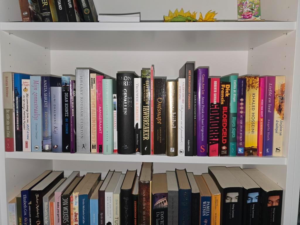 Boeken collectie: Fictie, Non-fictie, Studie, Reis