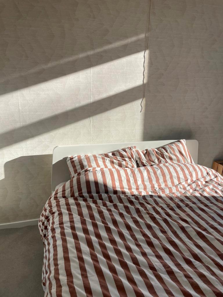 Ikea Askvoll bedframe + lattenbodem