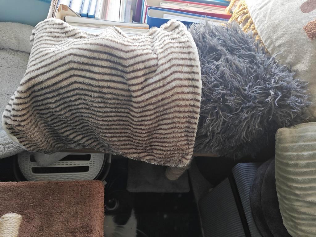 3 diverse sierkussens verschillende kleuren + 2 kussenhoezen