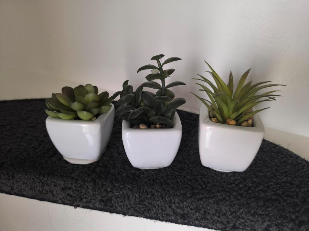 3 Mini Potjes met Kunstplantjes
