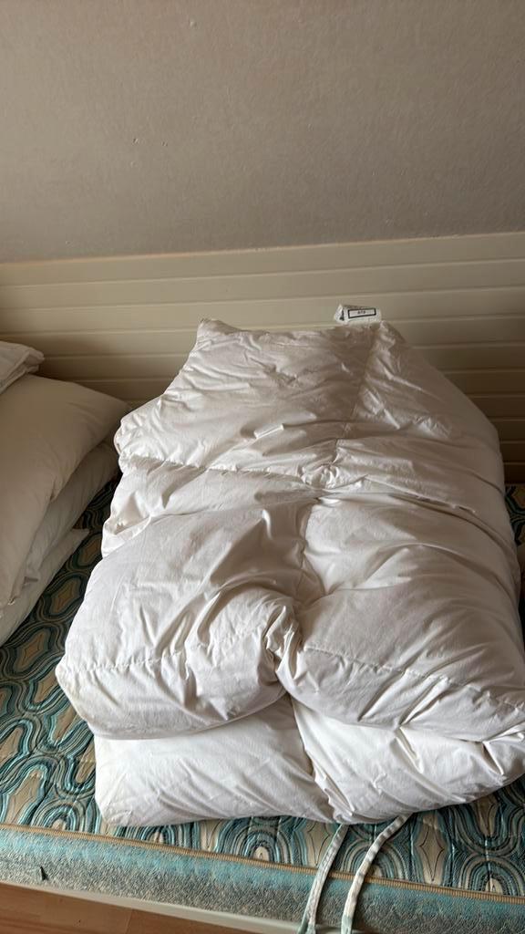 Donzen dekbed 1 persoons GRATIS