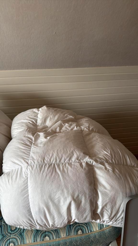 Donzen dekbed 1 persoon GRATIS