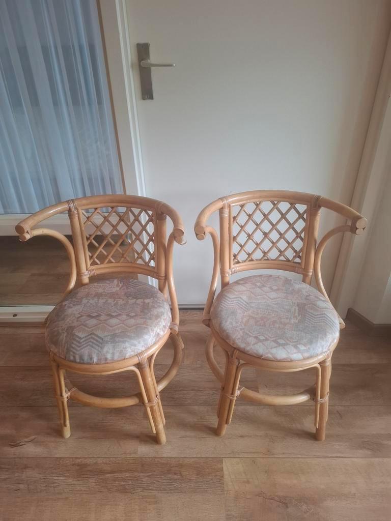 Set van 2 rotan stoelen met kussens
