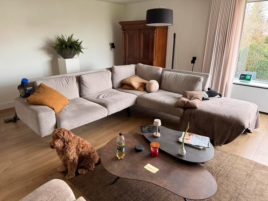 Gratis direct ophalen