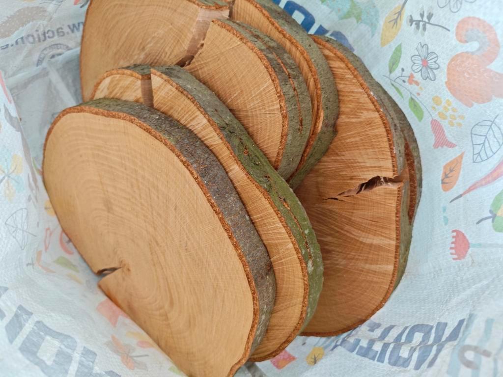 Boomstamschijven voor bv bruiloft, tafeldecoratie