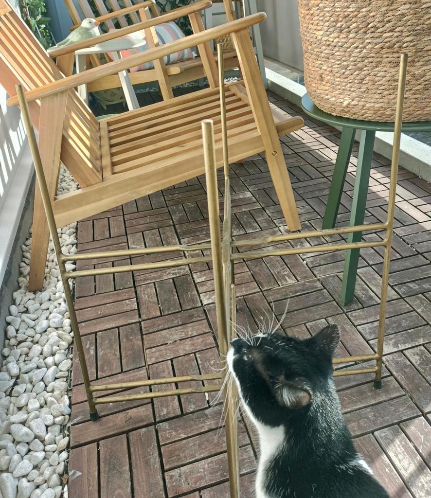 Planten tafel, metaal.