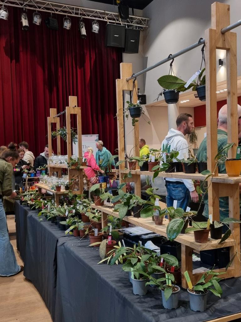 Plantenmarkt Maastricht