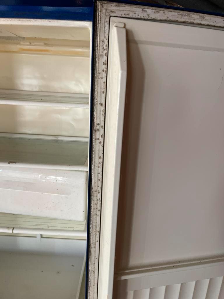 Blauwe Koelkast met Vriesvak - Gebruikt