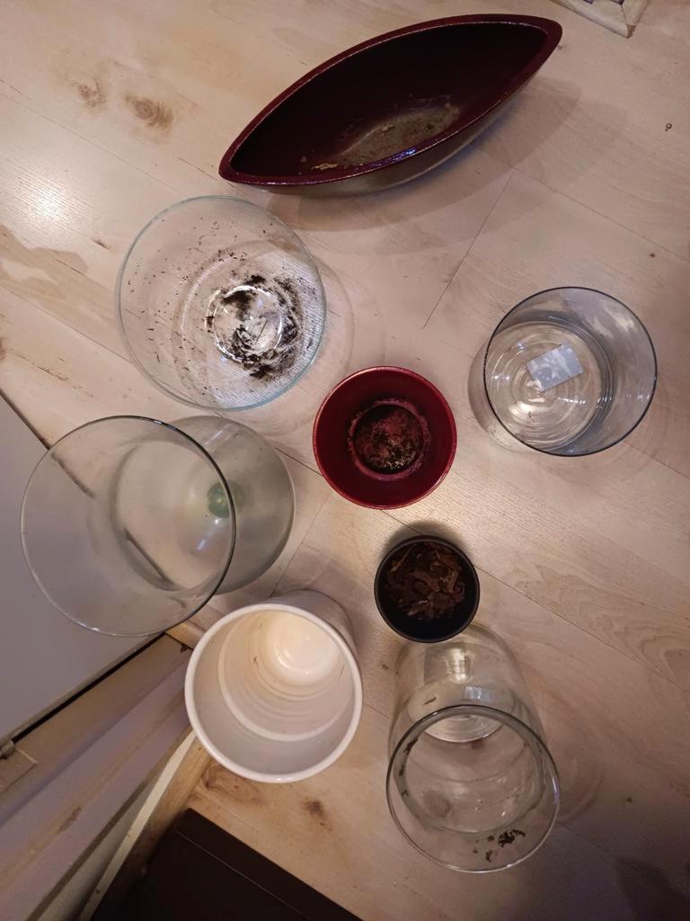 Vazen en plantenpotten gratis afhalen