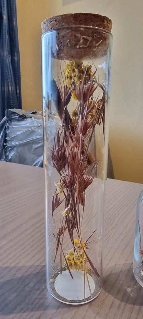 Glazen decoratief met droogbloemen