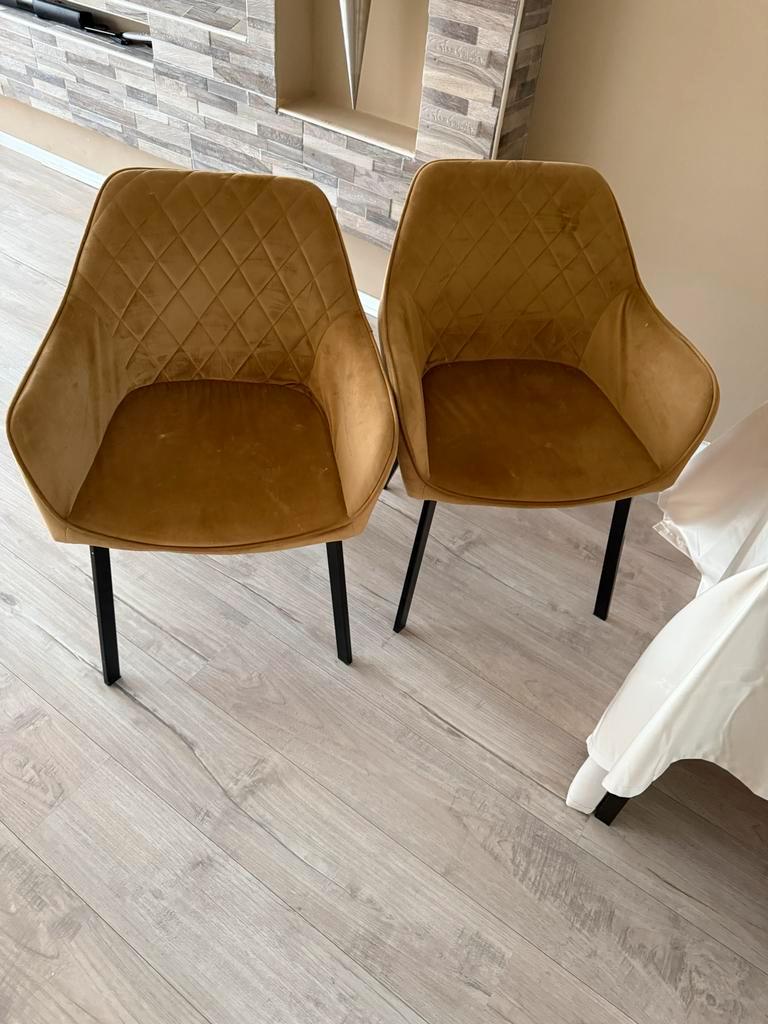 Set van 2 Stijlvolle Stoelen