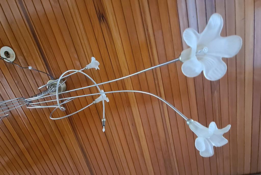 Gratis op te halen kroonluchter Plafondlamp lamp - bloemen