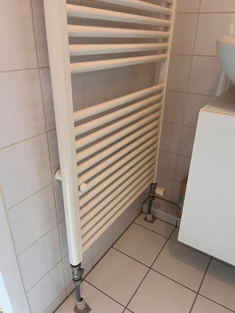 Badkamer spiegelkast en radiator