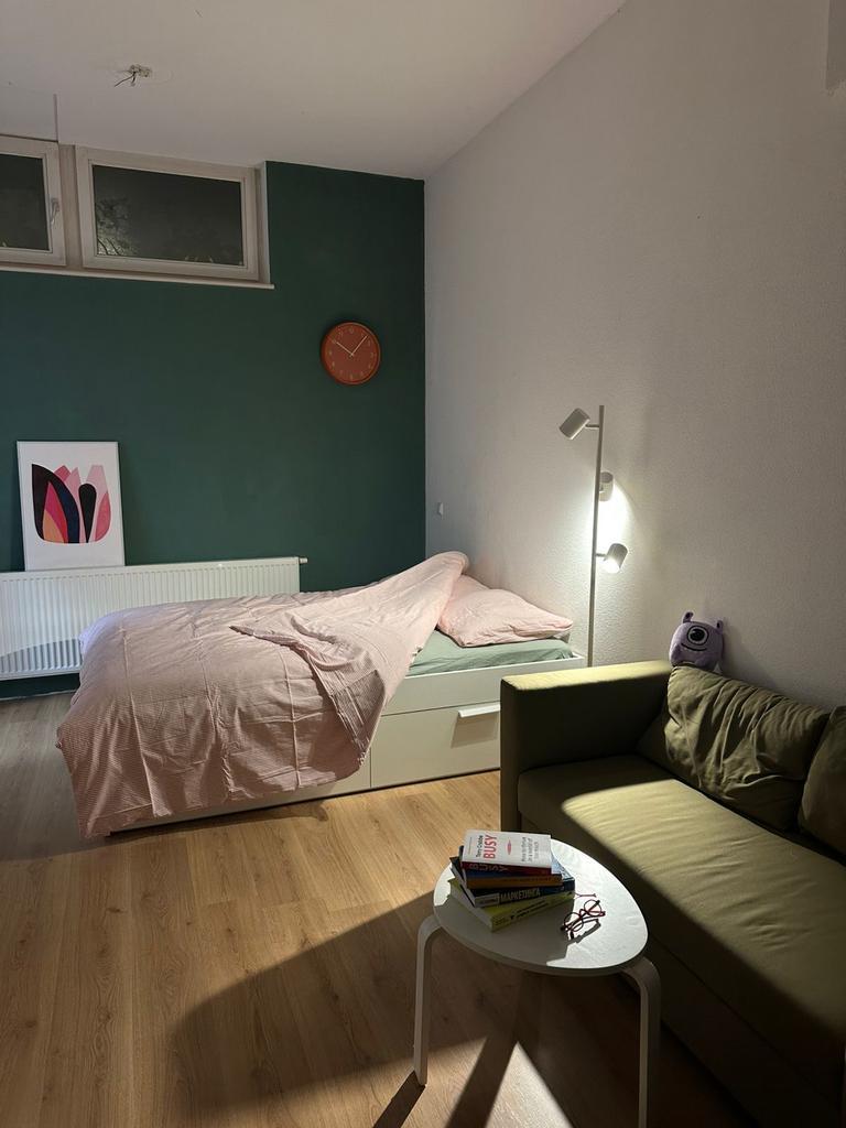 Verhuishulp (tillen & dragen) + kleine klusjes