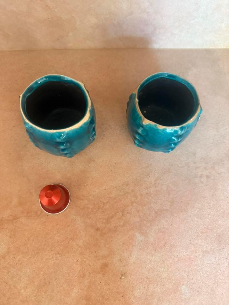 2 kleine plantenpotjes