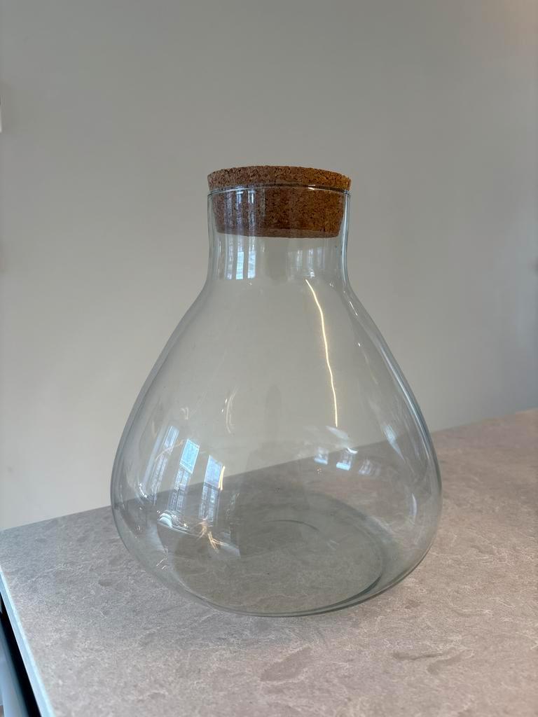 Glazen vaas met kurken dop voor planten