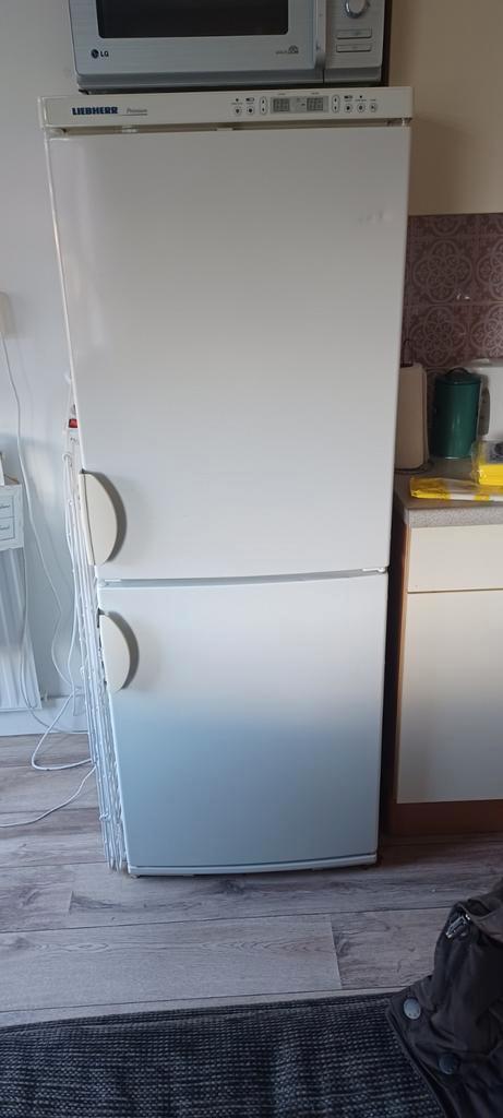 Liebherr Koel-/vriescombinatie - Ideaal voor bijkeuken