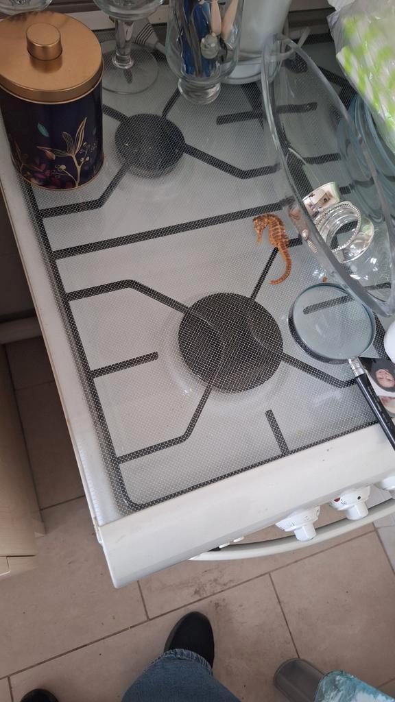 Gasforuin Gratis afhalen