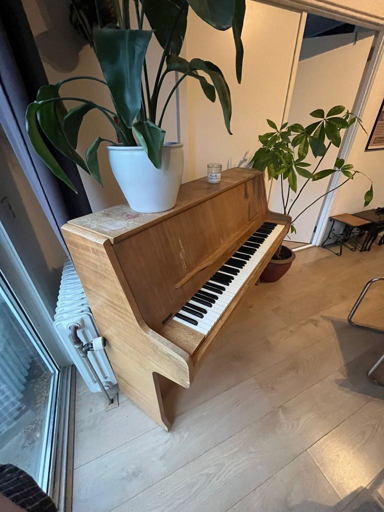 Rippen Piano - Klassiek en Charmant