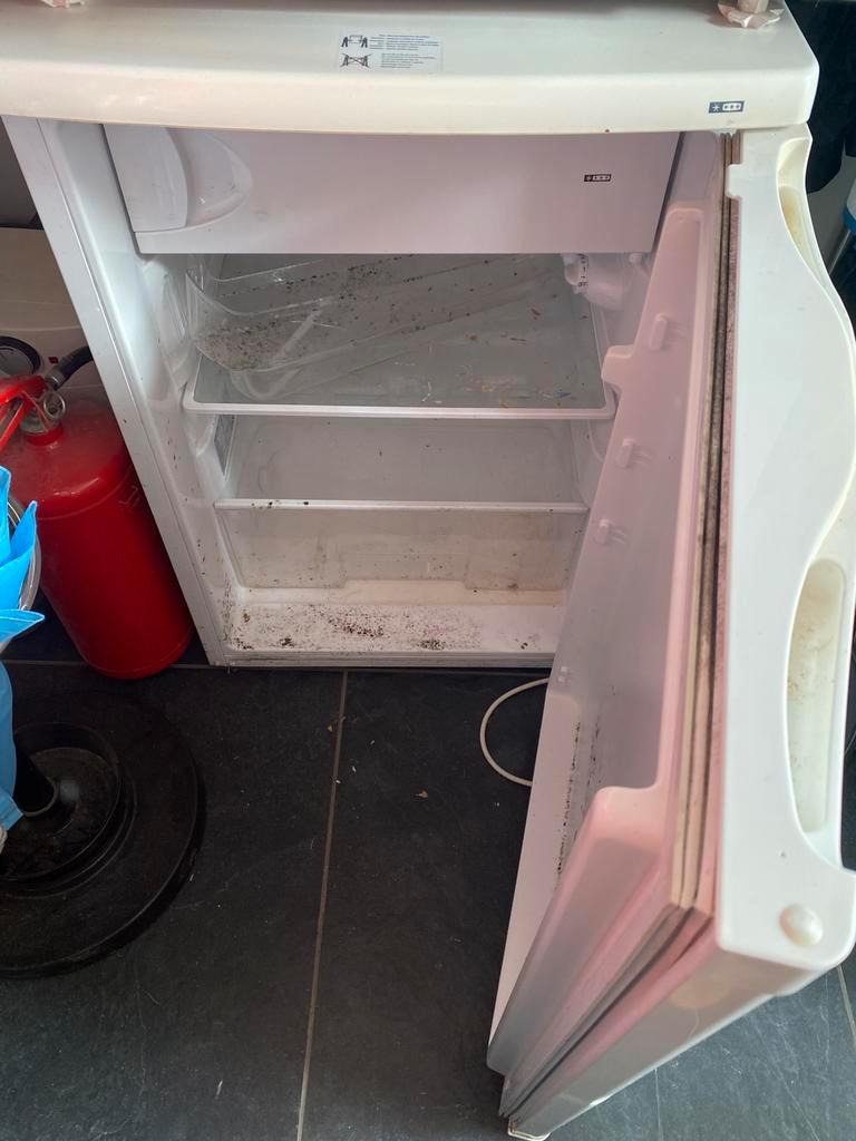 Koelkast, werkt prima. Gratis.
