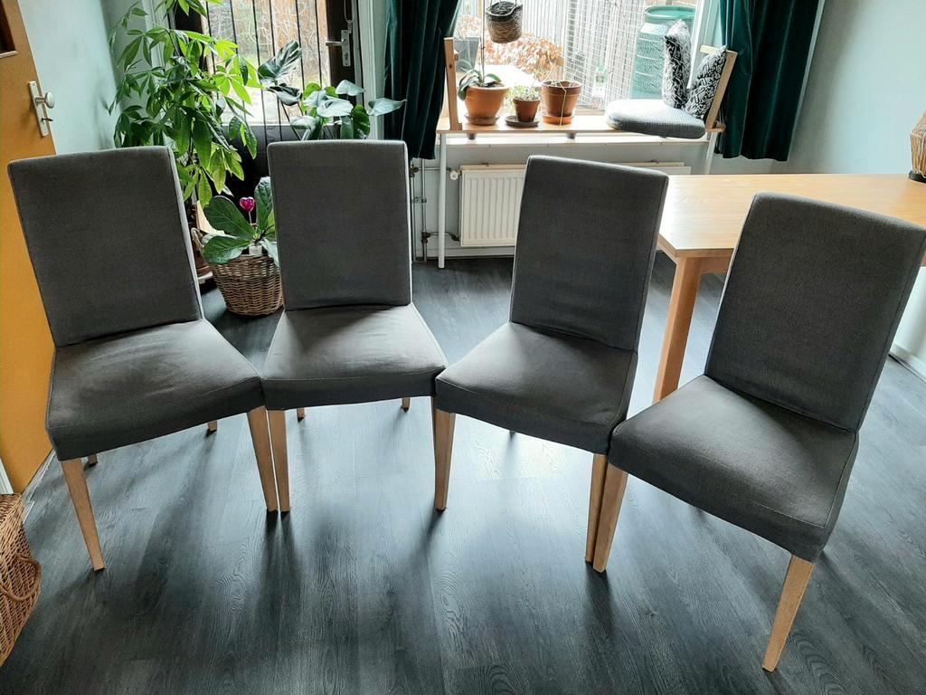 Gratis 4 eetkamerstoelen (NB: opknappers!)