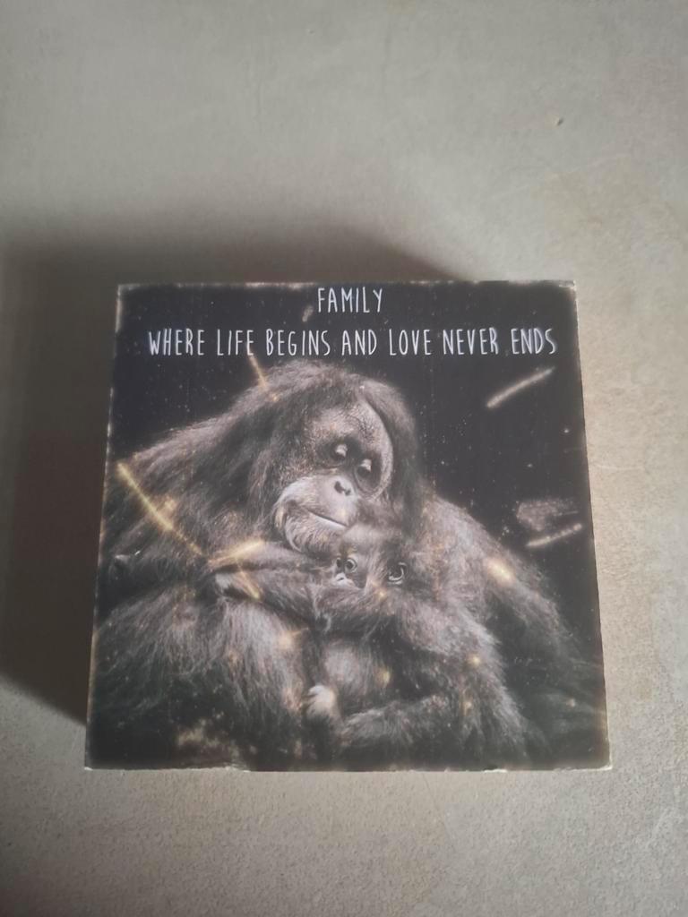 Blokje met afbeelding van apen met de tekst, spreuk