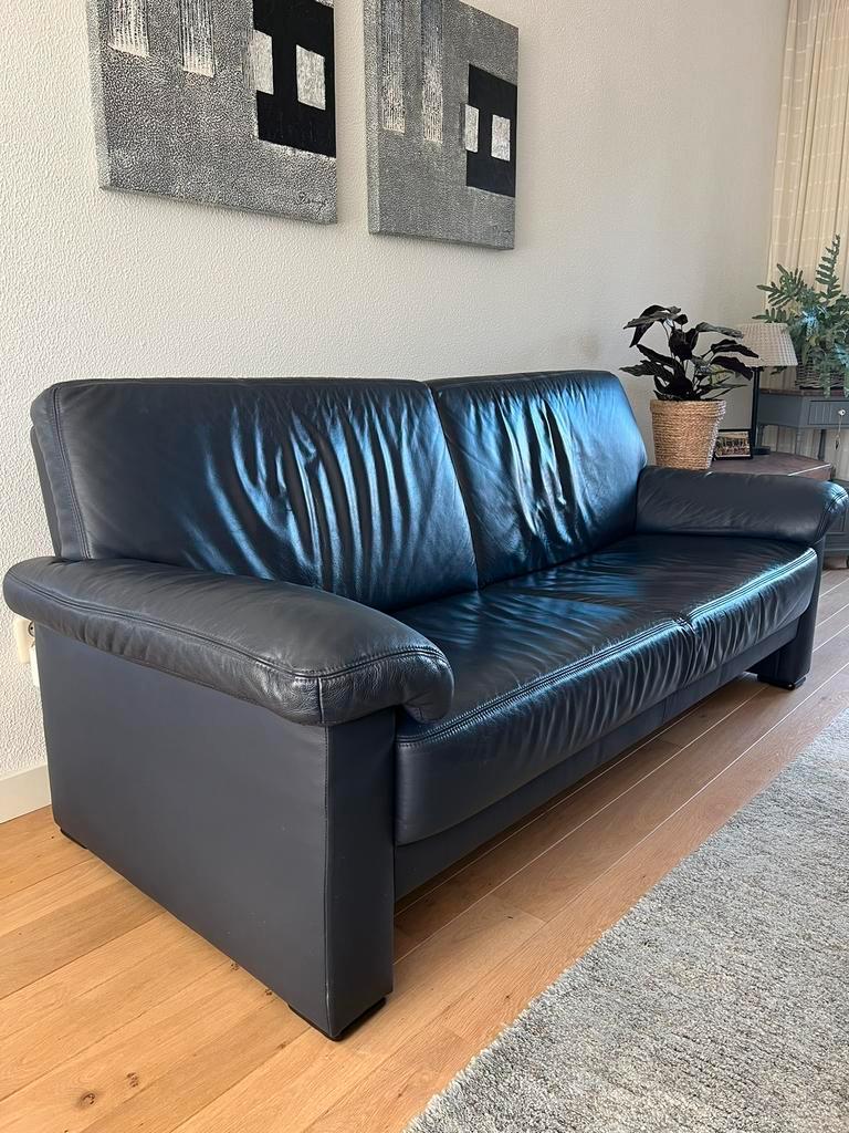 Donkerblauwe driezitter