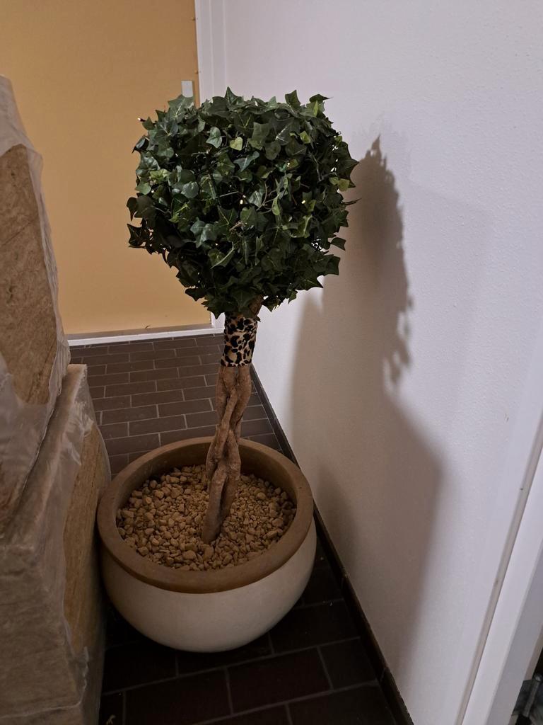 Kunst Taxus Boom in Emaille Pot