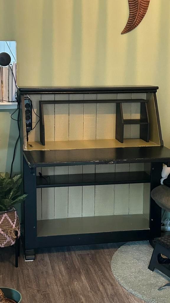 Zwarte secretaire.