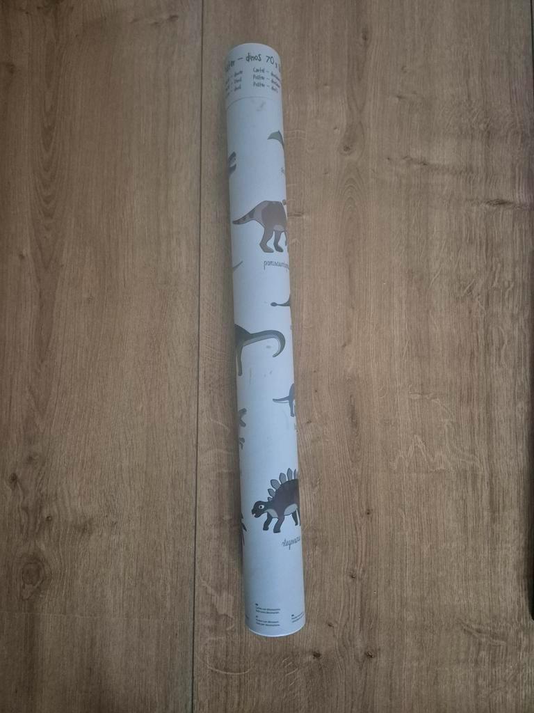 Dino Poster (70x50) - Inclusief Koker, exclusief lijst