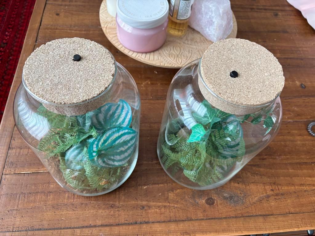 Gratis Kunst Terrarium
