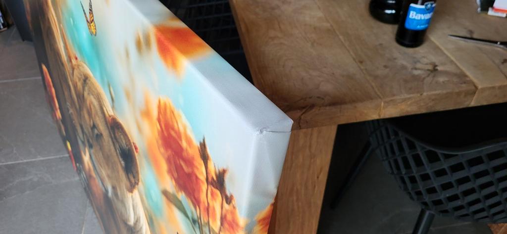 Groot xxl canvas leeuwenpaar in bloemenpracht