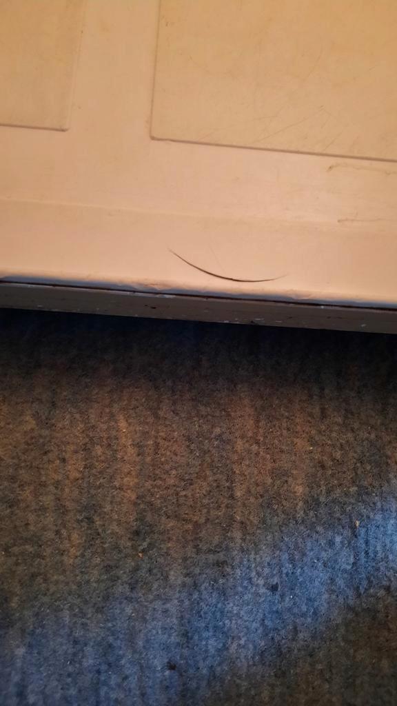 Vintage koelkast Ignis. Gratis